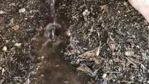 Ftm Pees Outdoors