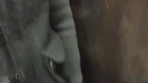 Asher Devin Piss In Public Restroom