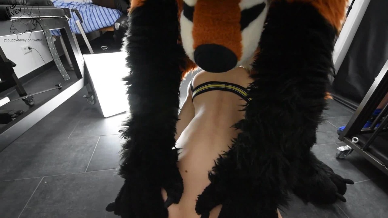 puppy gets fucked by fursuit with  dildo - Free Sex Video - RedTube