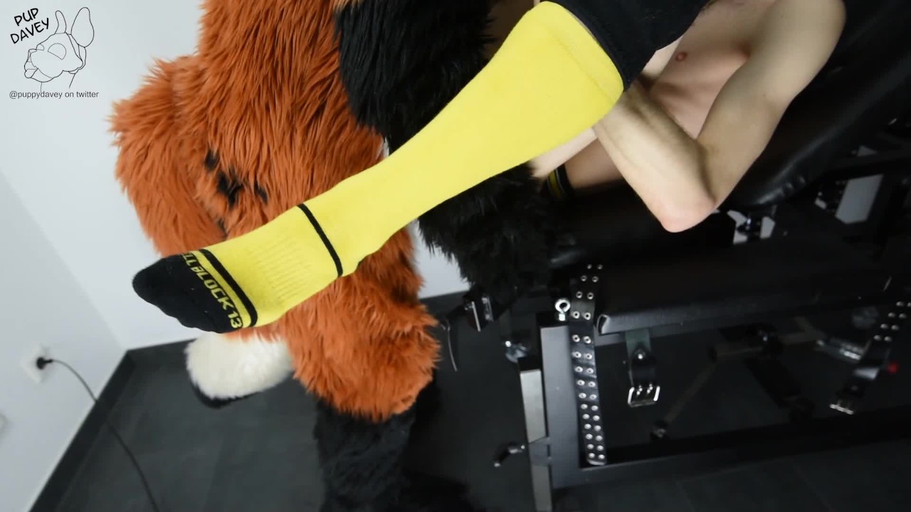 puppy gets fucked by fursuit with  dildo - Free Sex Video - RedTube