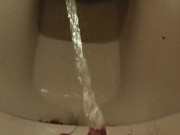 Rubbing my pissing, hairy pussy on a dirty toilet after holding