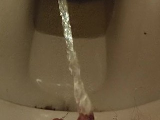 Rubbing my pissing, hairy pussy on a dirty toilet after holding