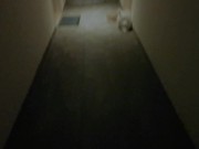 Gina Gerson rental fee issue 1/16