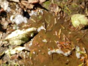 POV Sunny Outdoor Pussy And Grool 11/16