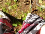 POV Sunny Outdoor Pussy And Grool 14/16