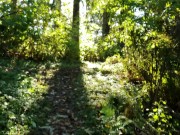 POV Sunny Outdoor Pussy And Grool 4/16