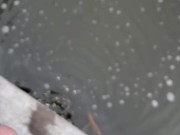 Pissing in the pond b4 hunting 