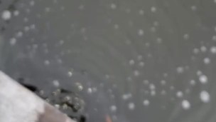 Pissing in the pond b4 hunting 