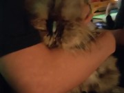 Ginger slowly stroking beautiful  5/16