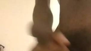 Early Morning Wood