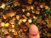 boy with a big dick shoots 3 streams of cum in the forest 14/16