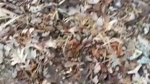 Morning Jerk off session outdoors