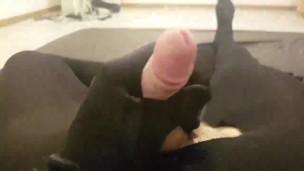 Wichsen in Nylons