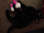 OmankoVivi Christmas UnBoxing 2019 ~ Happy Holidays and New Year! 3/16