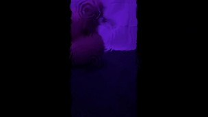 Mistress Belle's sissy (Mind melted)