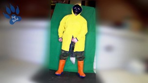 Raingear pup wanking outdoors during sunday walkies (nearly got caught)