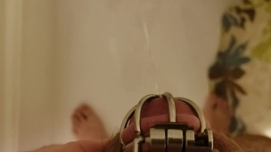 Guy Pees in the Shower while still in Chastity