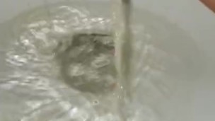 Peeing compilation. 