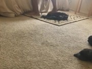 Caught fucking wifes sister  10/16