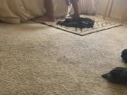 Caught fucking wifes sister  11/16