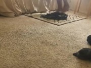 Caught fucking wifes sister  12/16