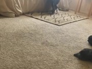 Caught fucking wifes sister  14/16