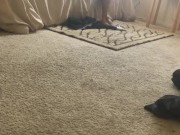 Caught fucking wifes sister  15/16