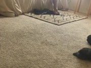 Caught fucking wifes sister  16/16