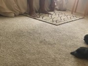 Caught fucking wifes sister  2/16