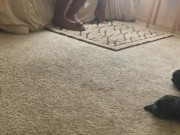 Caught fucking wifes sister  9/16