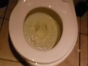 Amateur Restaurant POV Piss 12/16