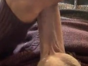 Got horny while smoking  8/16