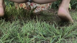 Pee in neighbours backyard (public)