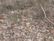 a cold walk to pee in the woods