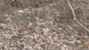 a cold walk to pee in the woods