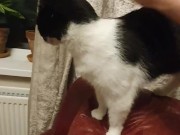 Gently stroking my 10/16