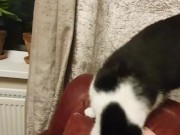 Gently stroking my 14/16