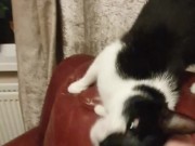 Gently stroking my 15/16