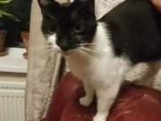 Gently stroking my 7/16