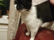 Gently stroking my 8/16