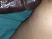 Young slut stretched lazy doggy by BBC 12/16