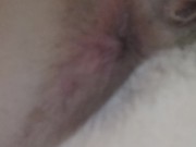 Hairy Asshole  11/16