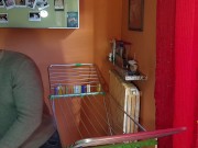 Sesso con gatto guardone davanti alla finestra 16/16