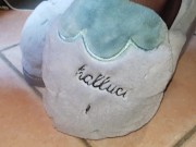 Sesso con gatto guardone davanti alla finestra 2/16