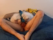 Kobaruto, Sergal having fun in his new apartment