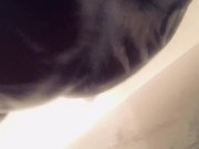 Blythewood big tit bitch in shower 
