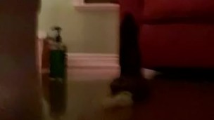 Me humping Duke The Bad Dragon