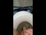 The Art of Pissing