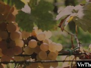 Cute blonde and sexy brunette fuck unaware they are being watched 1/16