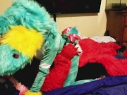 Spike bareback Breeds Piper the Bun doggy style @SucarioAD 1/16